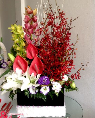 Hộp hoa Lan bò cạp