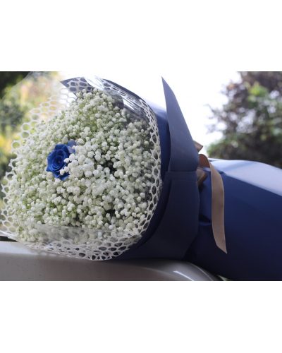 <img src='https://andy.vn/image/cache/data/product/03022023-400x500.jpg' height='400px'> Duy nhất mình em