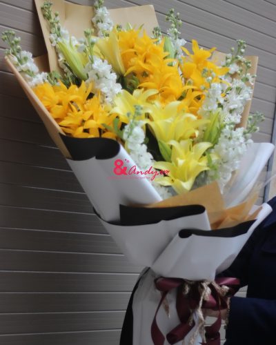 <img src='https://andy.vn/image/cache/data/product/0e02359cd96a3a34637b-400x500.jpg' height='400px'> I NEED YOU