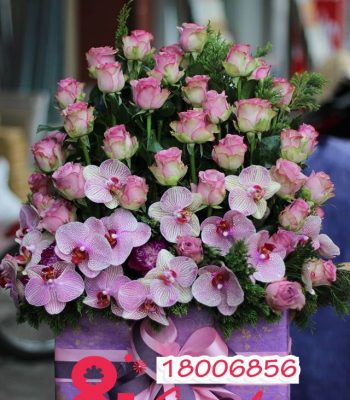Mãnh liệt