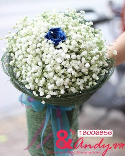 <img src='https://andy.vn/image/cache/data/product/105618066784586055672583183061929615779972n-400x500.jpg' height='400px'> My happy!