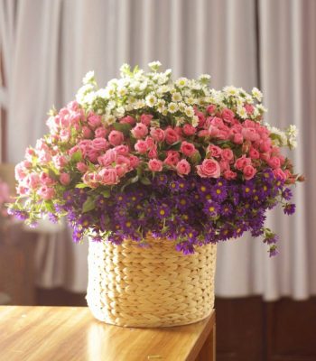 Nụ cười rạng rỡ
