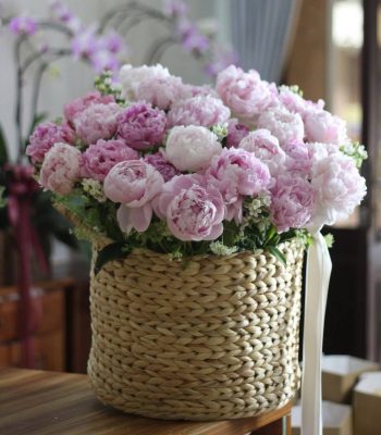 hoa mẫu đơn