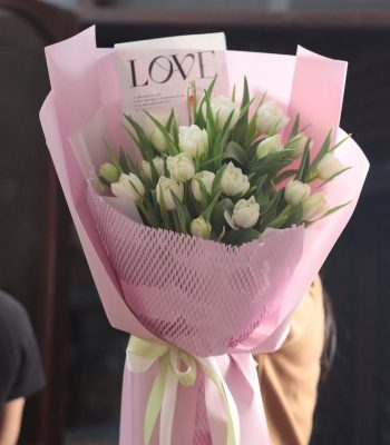 bói hoa tulip trắng