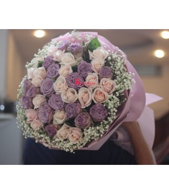 Tình Anh Tình Anh