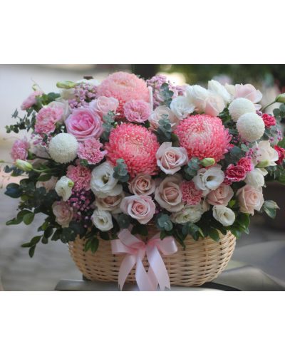 <img src='https://andy.vn/image/cache/data/product/12102022-400x500.jpg' height='400px'> Ngọt ngào