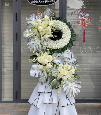 Hoa tang còn mãi với thời gian
