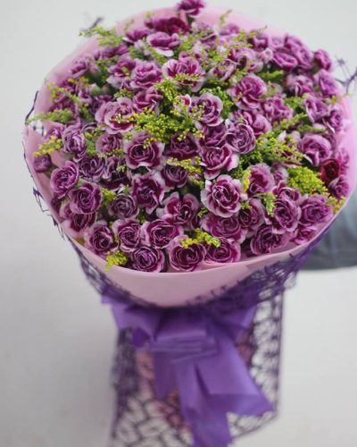 Cẩm chướng chùm