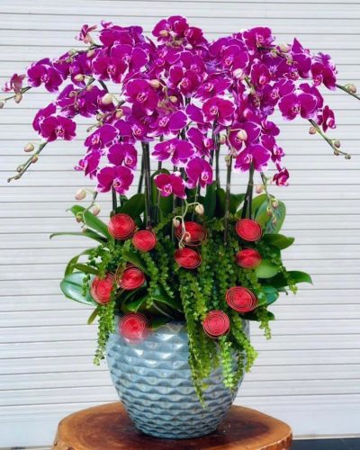 <img src='https://andy.vn/image/cache/data/product/13920236-400x500.jpg' height='400px'> HD32