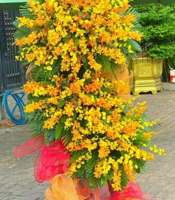 Hoa chúc mừng ngày thành lập