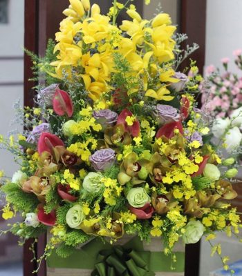 Tiến Bước Tiến Bước