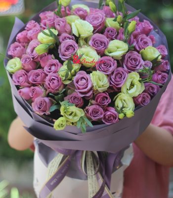 Mộng mơ Mộng mơ