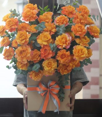 Congratulations!