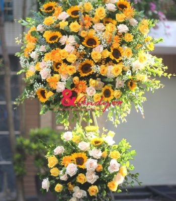 Thịnh Phát Thịnh Phát