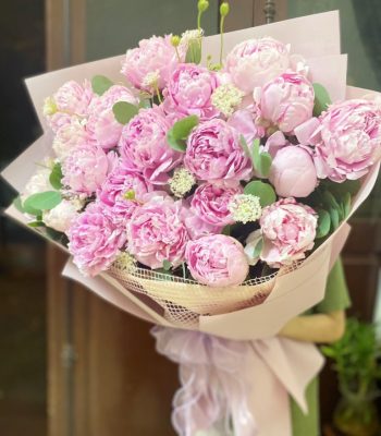 MẪU ĐƠN SARA MẪU ĐƠN SARA