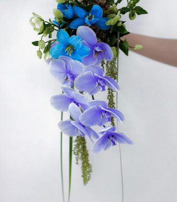 Hồ điệp+ tulip+ dền rủ