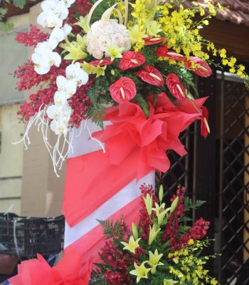 Hoa Khai Trương Đẹp