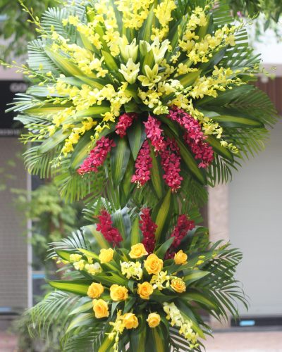 Hoa chúc mừng