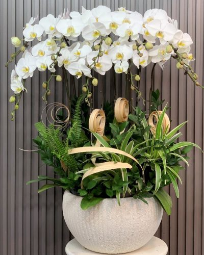 <img src='https://andy.vn/image/cache/data/product/23620246-400x500.jpg' height='400px'> 87020