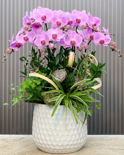 <img src='https://andy.vn/image/cache/data/product/23620249-400x500.jpg' height='400px'> 78128