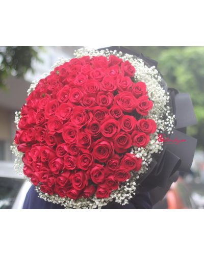 <img src='https://andy.vn/image/cache/data/product/2411202211-400x500.jpg' height='400px'> Say I Do