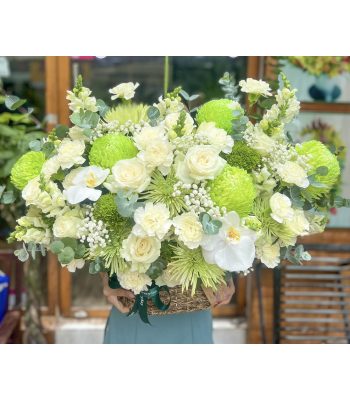 Sắc tím lan tường