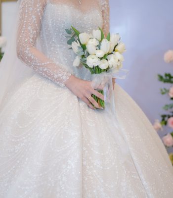 hoa cô dâu tuylip+mao lương hoa cô dâu tuylip+mao lương