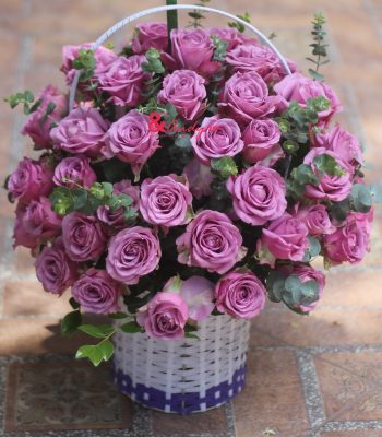 Happy Day!