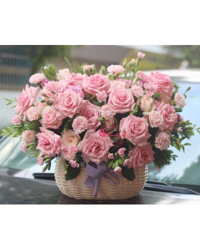 <img src='https://andy.vn/image/cache/data/product/307202020-400x500.jpg' height='400px'> Sắc môi ai hồng