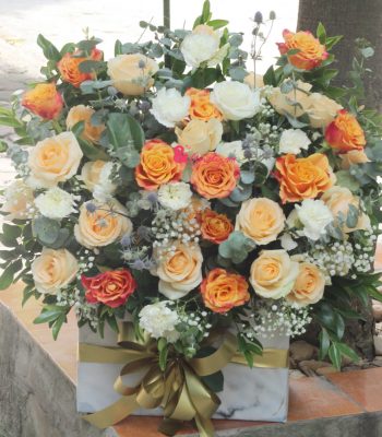 Chúc mừng sinh nhật