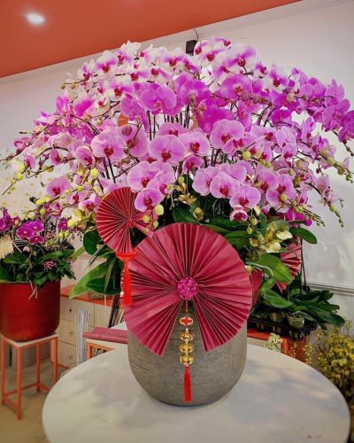 <img src='https://andy.vn/image/cache/data/product/3082022-400x500.jpg' height='400px'> TÍM HỒNG