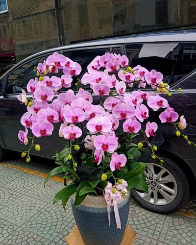 <img src='https://andy.vn/image/cache/data/product/308202210-400x500.jpg' height='400px'> 96692