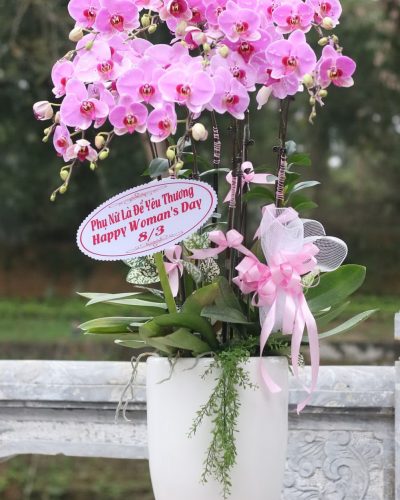 <img src='https://andy.vn/image/cache/data/product/308202212-400x500.jpg' height='400px'> 34652