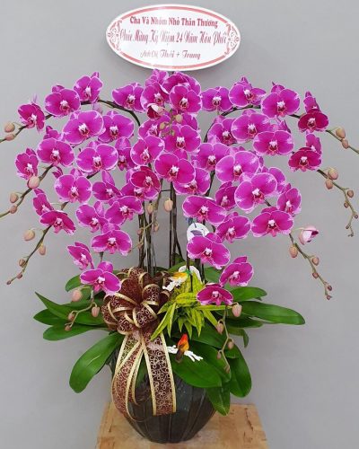 <img src='https://andy.vn/image/cache/data/product/30820226-400x500.jpg' height='400px'> 19668