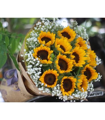  Sun Flower