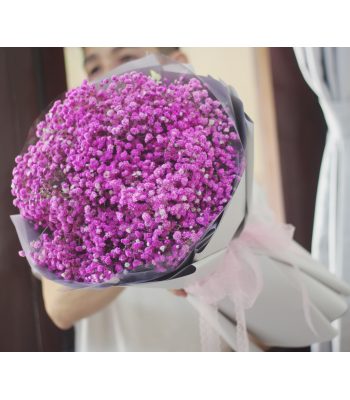 Hoa Baby hồng size nhỏ