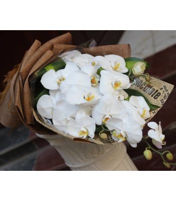 Bó hoa Lan Hồ Điệp