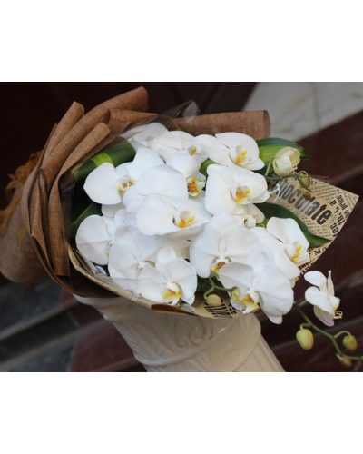 Bó hoa Lan Hồ Điệp
