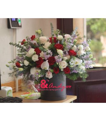 Khát Vọng Khát Vọng