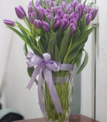 Hoa tulip tím