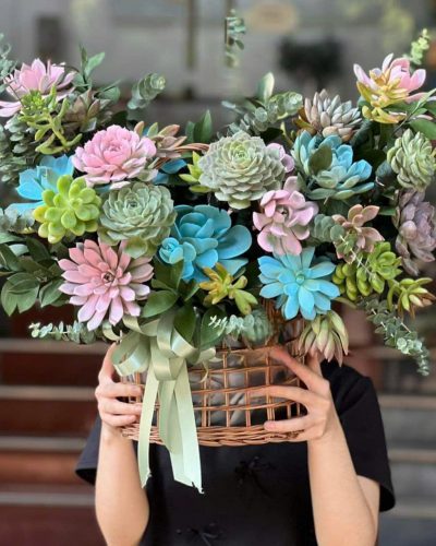 Mẫu đơn Nâu & cam