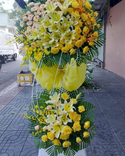 Chúc mừng 4