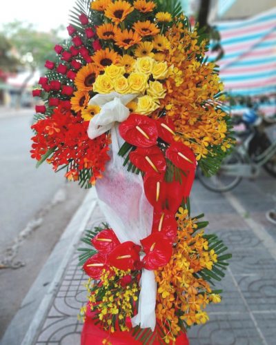 Chúc mừng 3
