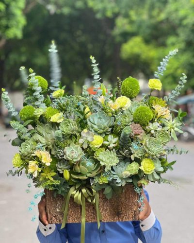 Hộp hoa lan đẹp – sang trọng