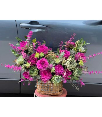 Dồi dào sức khỏe Dồi dào sức khỏe