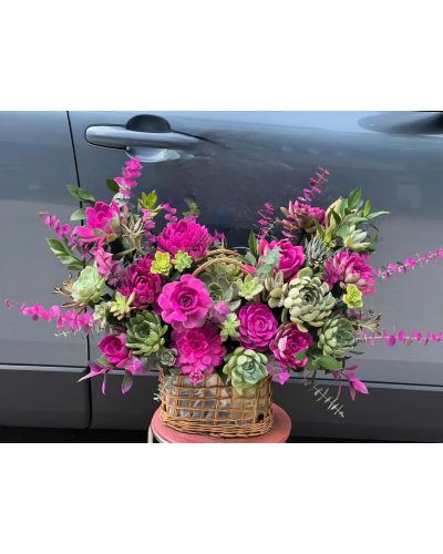 <img src='https://andy.vn/image/cache/data/product/71020247-400x500.jpg' height='400px'> Dồi dào sức khỏe