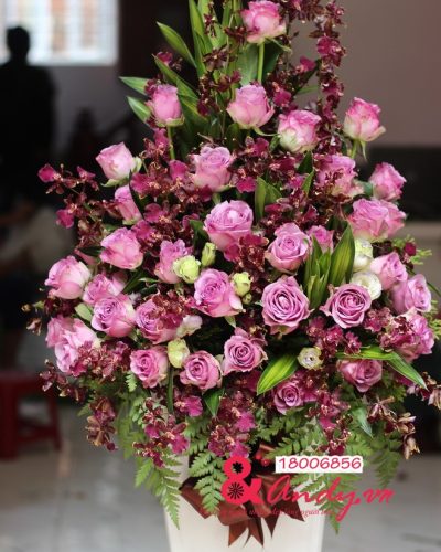 <img src='https://andy.vn/image/cache/data/product/78-400x500.jpg' height='400px'> Miền yêu thương