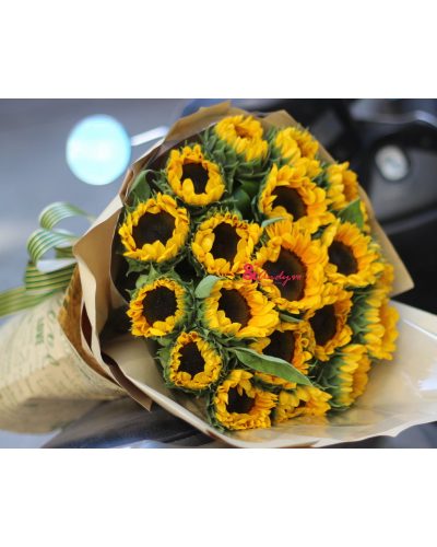 <img src='https://andy.vn/image/cache/data/product/81020204-400x500.jpg' height='400px'> Hoa mặt trời