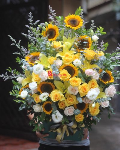 <img src='https://andy.vn/image/cache/data/product/81020207-400x500.jpg' height='400px'> Chùng Chình