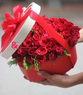 Gõ cửa trái tim